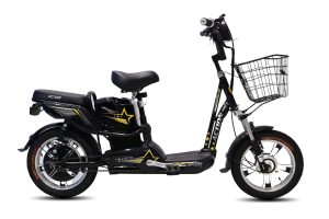 Xe Đạp Điện Action AC 10-16 16 Inch