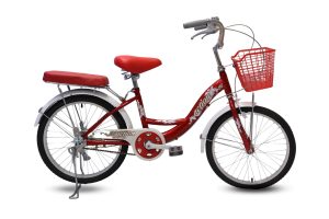 Xe Đạp Phổ Thông Action Sơn 20 Inch