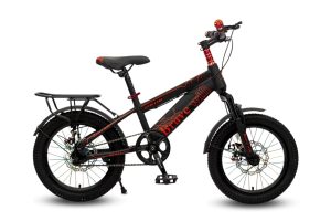 Xe Đạp Địa Hình Trẻ Em Brave Will 16 Inch - Đỏ