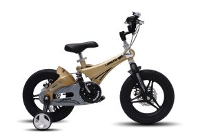 Xe Đạp Trẻ Em LANQ FD 41 14 Inch Cao Cấp
