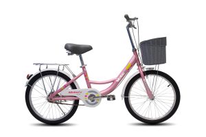 Xe Đạp Trẻ Em Medoly 20 Inch Sườn 1 Ống
