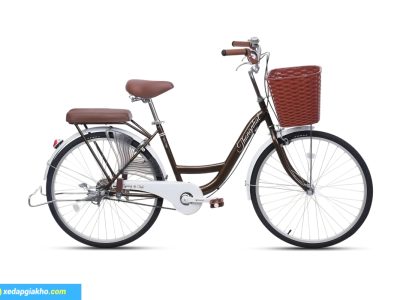 Xe đạp Thống Nhất New 24 màu nâu