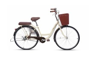 Xe đạp Thống Nhất New 26