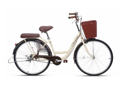 Xe đạp Thống Nhất New 26