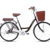 Xe đạp nữ Thống Nhất New 24