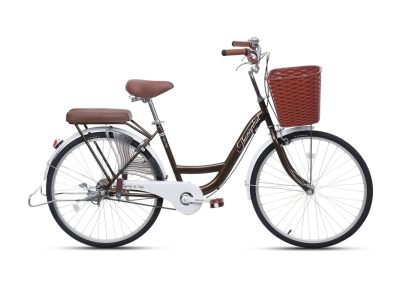 Xe đạp nữ Thống Nhất New 24