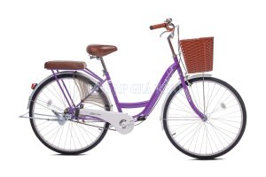 Xe Đạp Phổ Thông Thống Nhất New 24 Inch