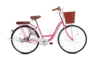 Xe Đạp Phổ Thông Thống Nhất New 24 Inch