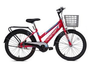 Xe Đạp Trẻ Em Thống Nhất GN 06-20 20 Inch