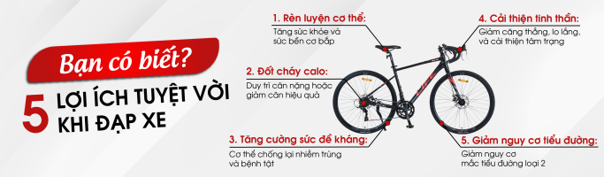 Xe Đạp Giá Kho – Nguồn Xe Đạp Nhập Khẩu Lớn Nhất Việt Nam