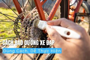 Cách Bảo Dưỡng Xe Đạp Đúng Cách, Dễ Thực Hiện 27 cach bao duong xe dap dung cach de thuc hien