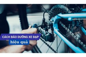 Bảo dưỡng xe định kì