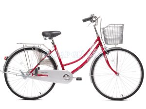 Xe đạp thống nhất 219-26