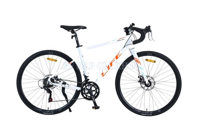 Xe Đạp Giá Kho – Nguồn Xe Đạp Nhập Khẩu Lớn Nhất Việt Nam