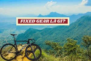 Xe Đạp Fixed Gear