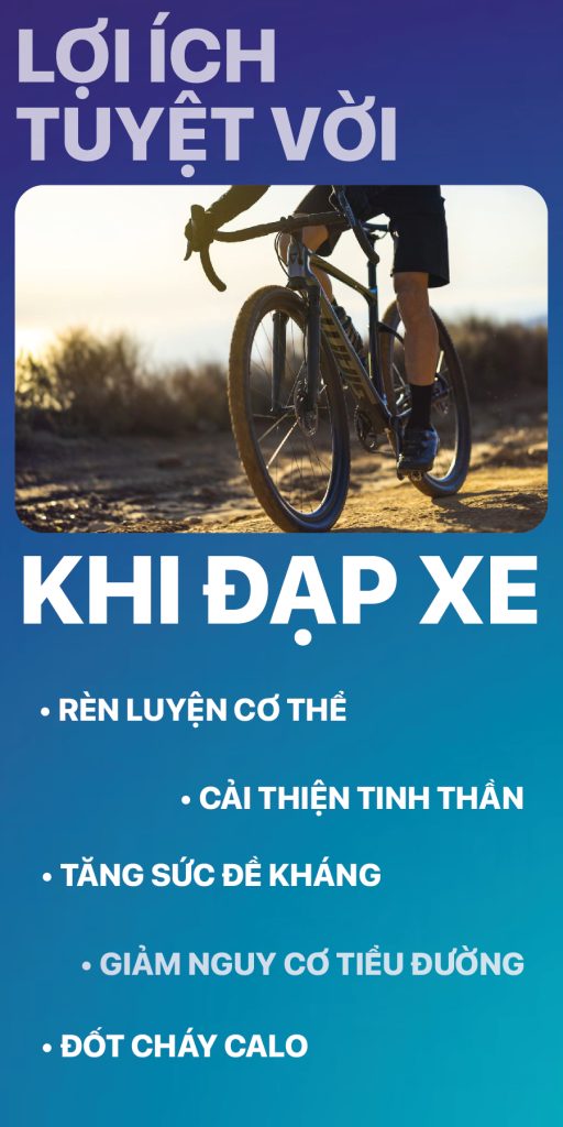 Xe Đạp Giá Kho – Nguồn Xe Đạp Nhập Khẩu Lớn Nhất Việt Nam