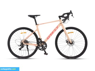 Xe Đạp Đua DTFLY R5 Màu Hồng Kem (2)
