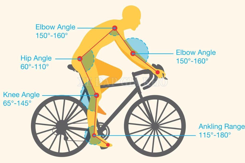 Chọn đúng size xe đạp để có trải nghiệm lái xe an toàn và hiệu quả