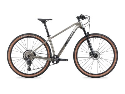 Xe Đạp Địa Hình MTB Nesto Tiger 29 Inch