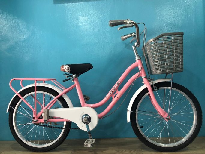 Xe Đạp Trẻ Em 20 Inch SW-CITY BIKE