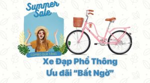 Thương Hiệu Xe Đạp Phổ Thông Khuyến Mãi - Ưu Đãi Bất Ngờ