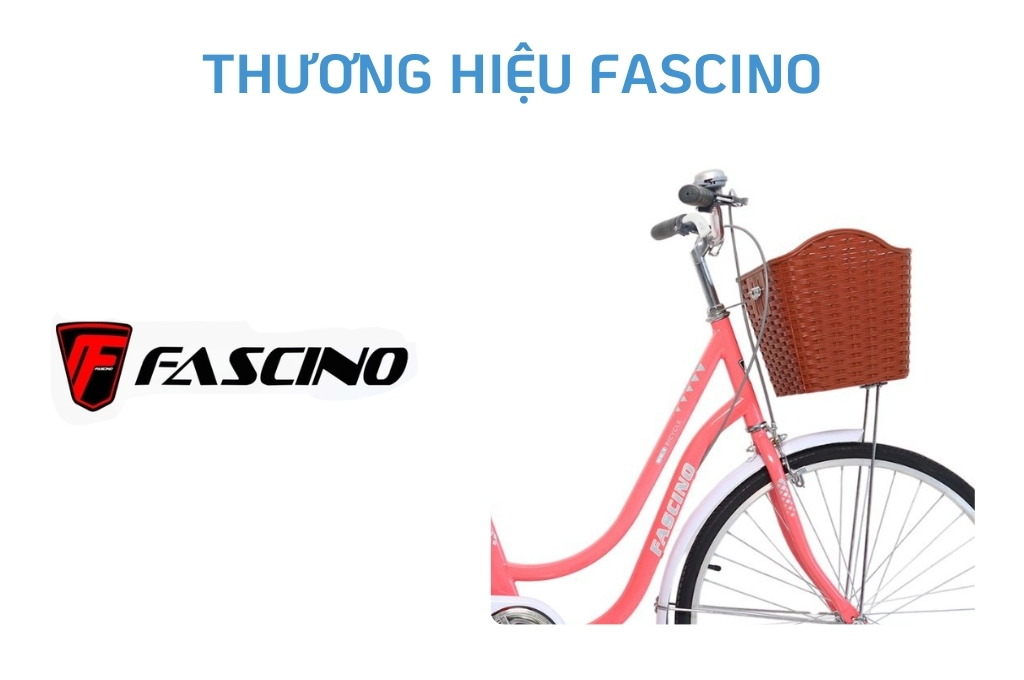 Xe đạp phổ thông của thương hiệu Fascino thiết kế đa dạng màu sắc nổi bật