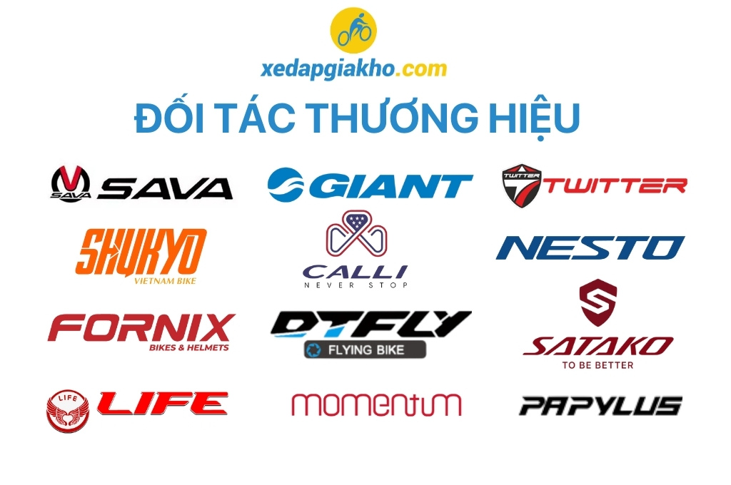 Các thương hiệu xe đạp thể thao phổ biến tại Việt Nam