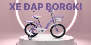 Xe đạp Borgki - Thương hiệu xe đạp phổ biến và được ưa chuộng