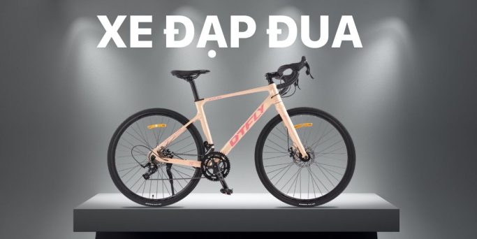 Xe Đạp Giá Kho – Nguồn Xe Đạp Nhập Khẩu Lớn Nhất Việt Nam