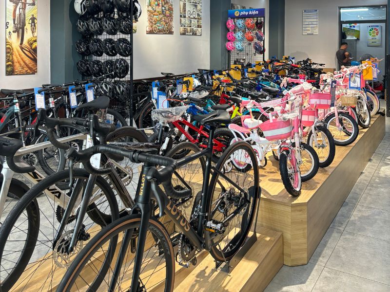 Top 5 Xe Đạp Đua Dưới 5 Triệu: 5 Triệu Nên Mua Xe Đạp Nào? 2 Xe đạp đua dưới 5 triệu mẫu đẹp, dễ tiếp cận mọi gia đình