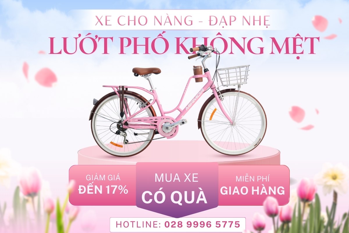 Xe Đạp Phổ Thông Khuyến Mãi - Giá Tốt Bất Ngờ 4 Xe đạp phổ thông cho nàng lướt phố