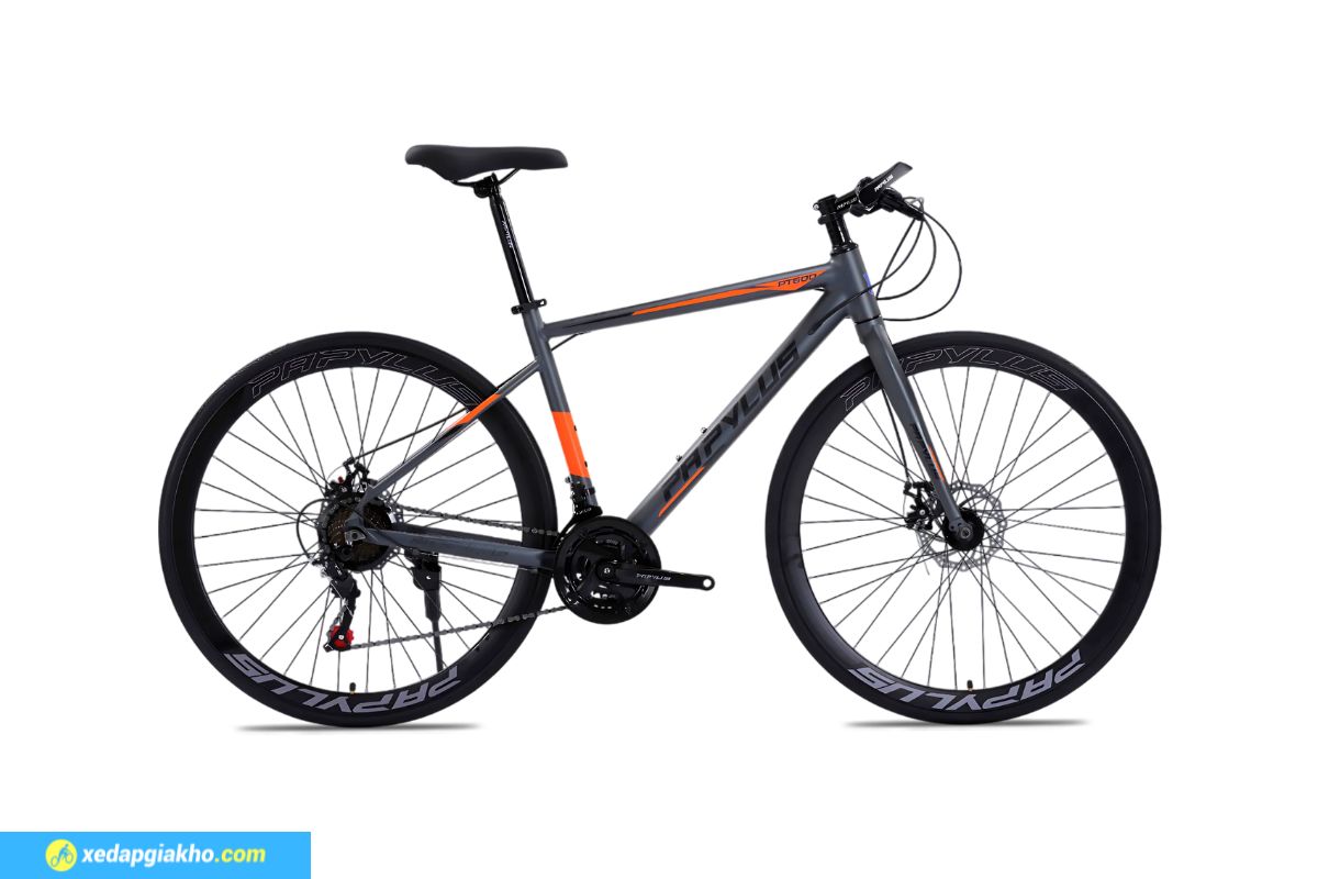 Top 6 Xe Đạp Thể Thao Dưới 5 Triệu Đáng Mua Nhất 2025 8 Xe đạp touring PAPYLUS PT600