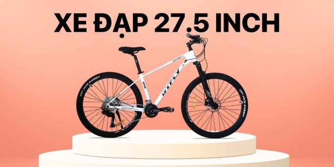 Xe Đạp Giá Kho – Nguồn Xe Đạp Nhập Khẩu Lớn Nhất Việt Nam