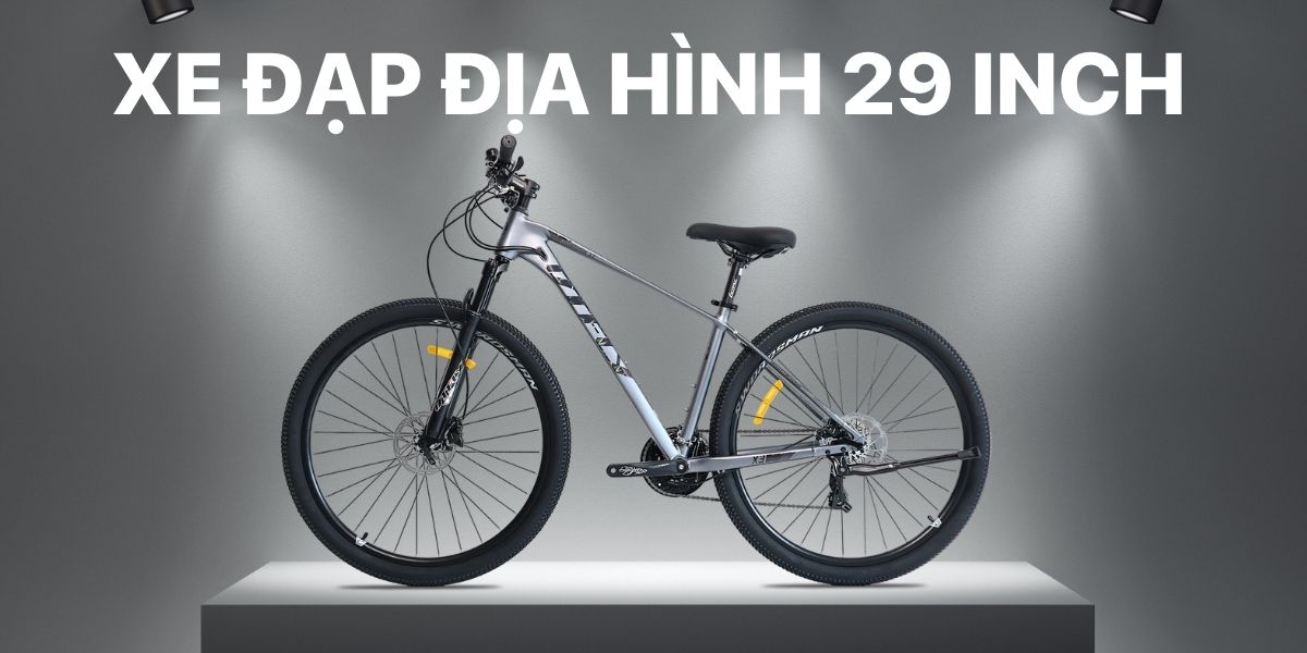 Xe Đạp Địa Hình 29 Inch Giá Rẻ Toàn Quốc