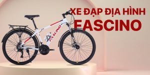 xe đạp địa hình fascino