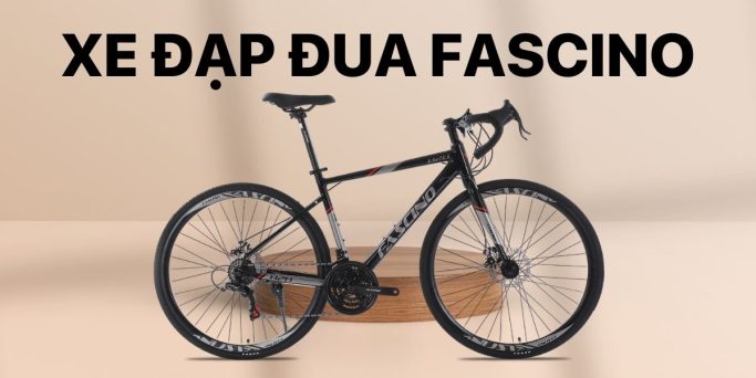 Xe Đạp Giá Kho – Nguồn Xe Đạp Nhập Khẩu Lớn Nhất Việt Nam