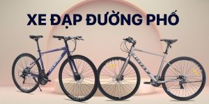 xe đạp đường phố