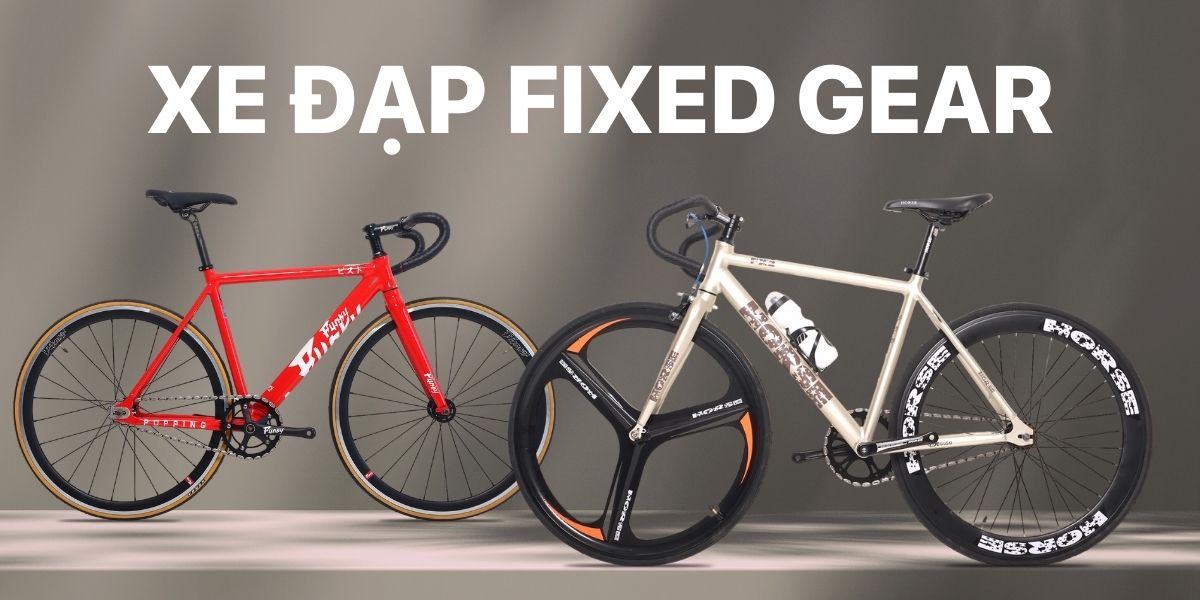 Xe Đạp Fixed Gear Giá Rẻ, Phong Cách, Đủ Loại