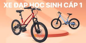 xe đạp học sinh cấp 1