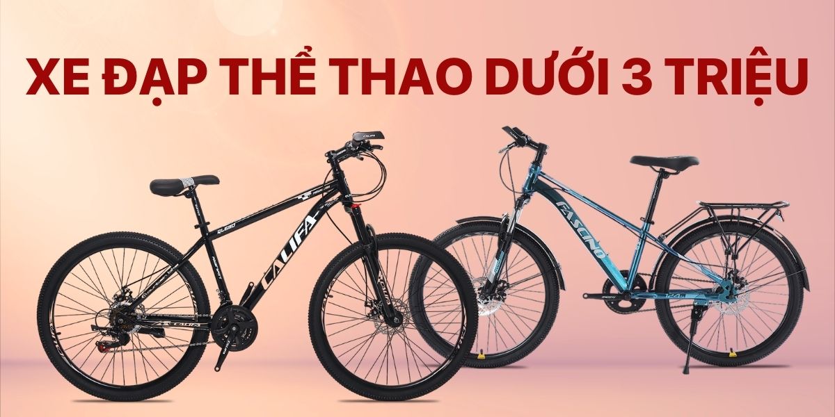 Mua Ngay Xe Đạp Thể Thao Dưới 3 Triệu