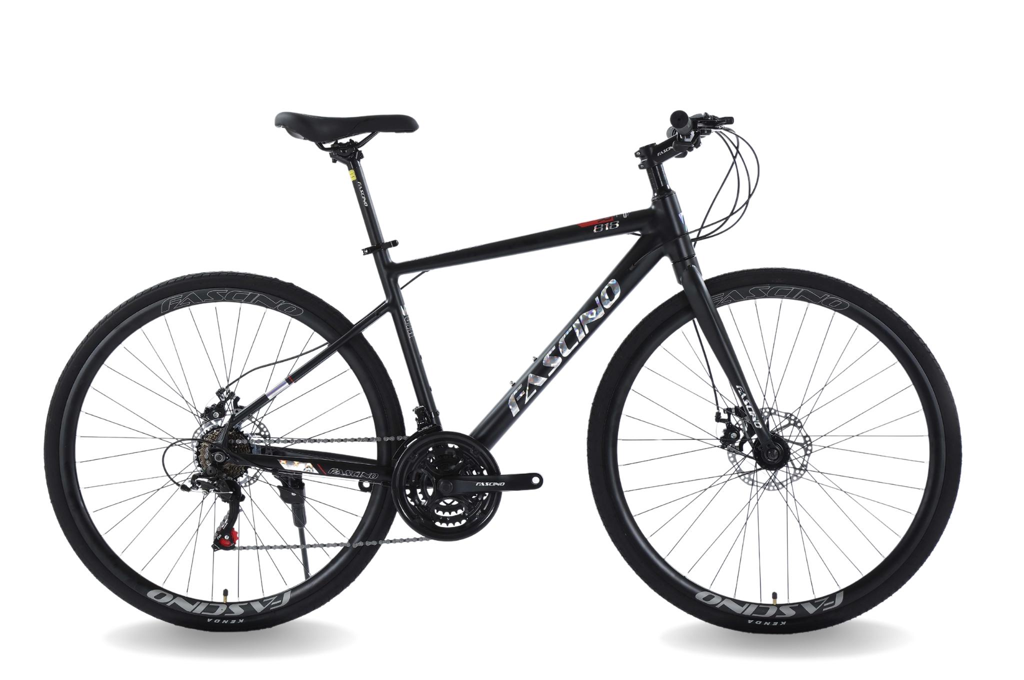 Xe Đạp Touring Fascino 818 - SHIMANO | Khung Thép | Thắng Đĩa Cơ