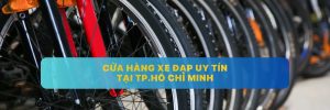 Cửa hàng xe đạp chính hãng, giá rẻ, nhập khẩu chính hãng tp Hcm