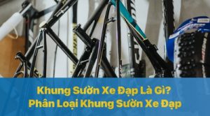 Khung sườn xe đạp là gì? Phân loại khung sườn xe đạp