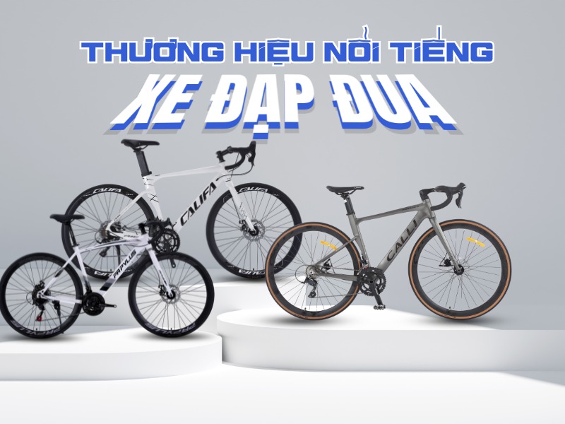 Xe Đạp Đua Giá Rẻ Dưới 5 Triệu: Top 4 Mẫu Cho Người Mới 3 Thương hiệu xe đạp đua phổ biến tại Việt Nam