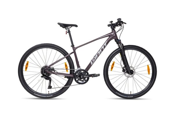 Xe Đạp Địa Hình MTB Giant Roam 2 Disc 2024 - Khung Nhôm | Shimano