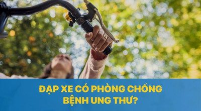 Xe Đạp Giá Kho – Nguồn Xe Đạp Nhập Khẩu Uy Tín Tại Việt Nam