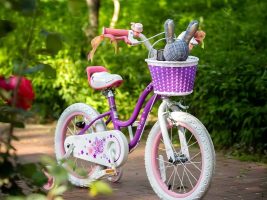 Xe đạp RoyalBaby Jenny nhiều mẫu đẹp, dễ thương