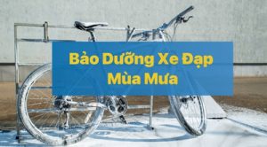 Bảo Dưỡng Xe Đạp Mùa Mưa