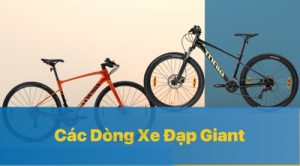 Các Dòng Xe Đạp Giant Chính Hãng Quốc Tế