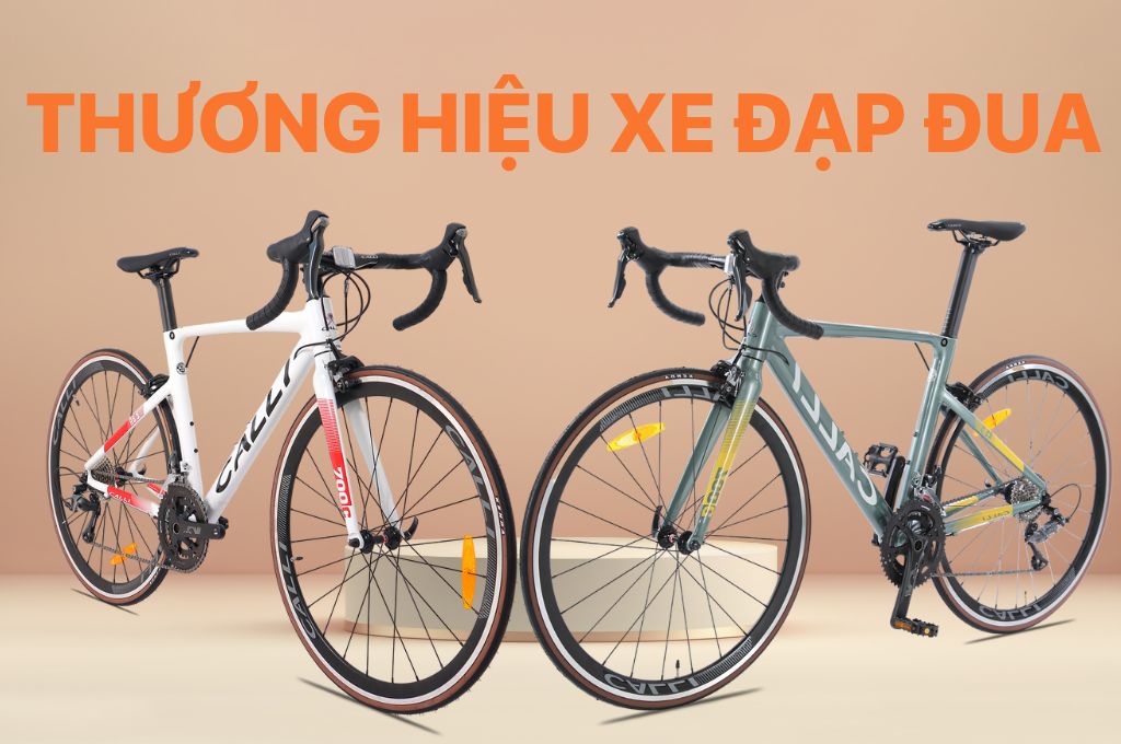 Thương hiệu xe đạp đua uy tín giúp người đạp cảm thấy yên tâm hơn